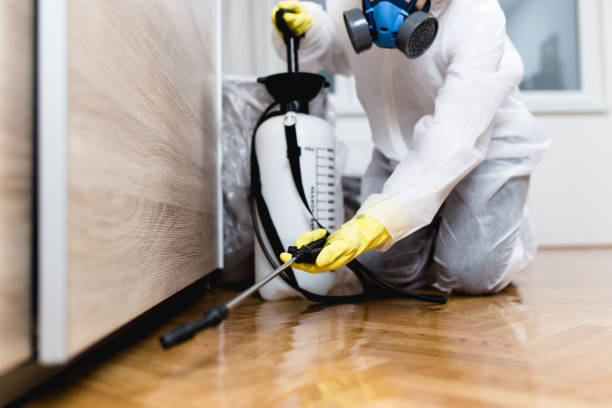 Best Mosquito Control Services  in Tappan, NY