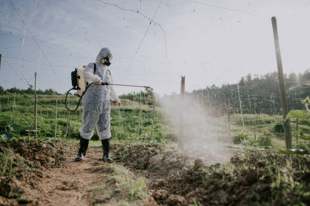 Best Pest Control Cost  in Tappan, NY