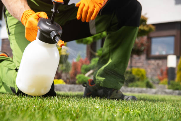 Best Insect Control  in Tappan, NY