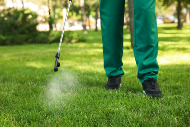Best Termite Control Services  in Tappan, NY