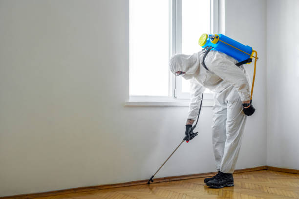 Pest Control Cost in Tappan, NY