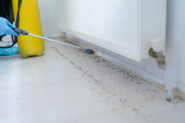Trusted Tappan, NY Pest Control Experts