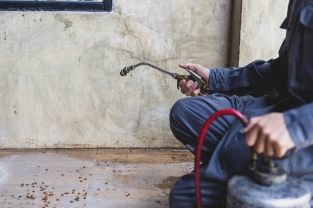 Best Affordable Pest Control Services  in Tappan, NY